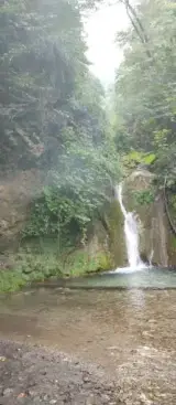 چشمه علی