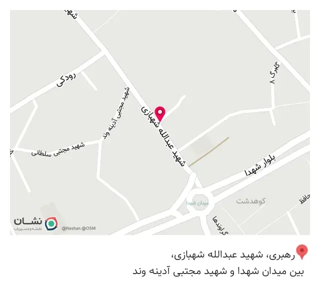 پیتزا شف حمید