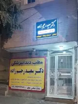دکتر سعید رحیم زاده