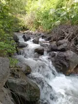 بلوکان