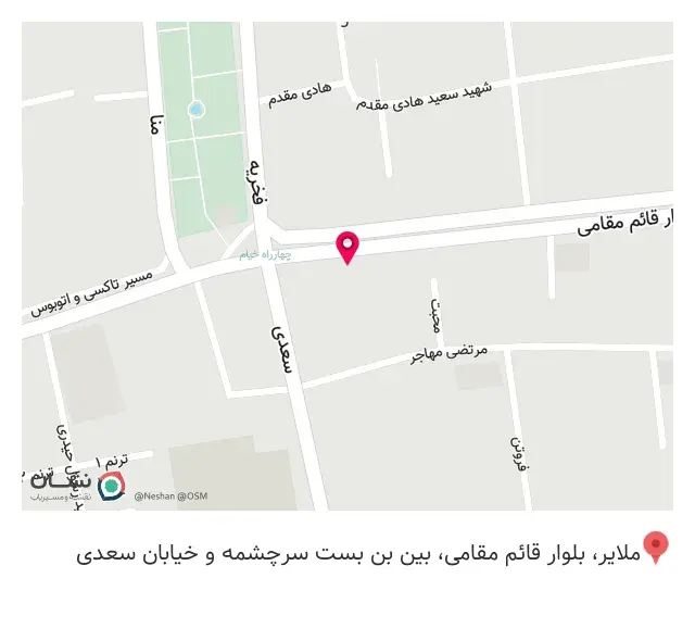 دکتر محمد امیری