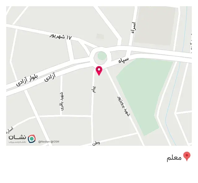 پیتزا ونوس