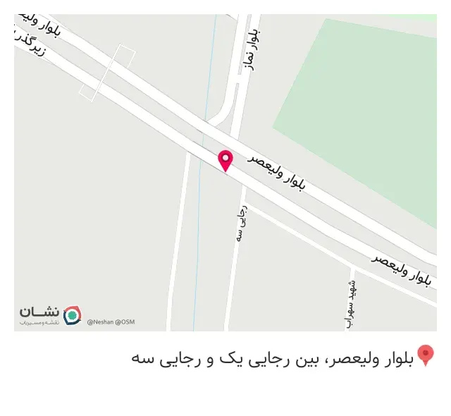 تهیه غذا ریحون