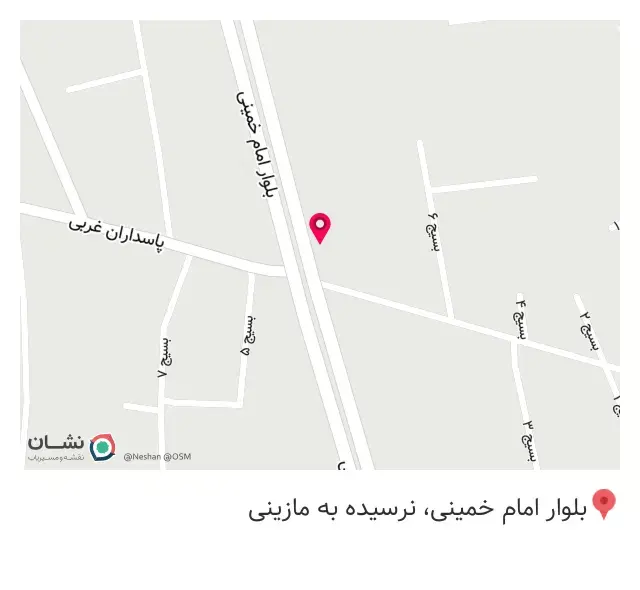 پیتزا آرین توکلی