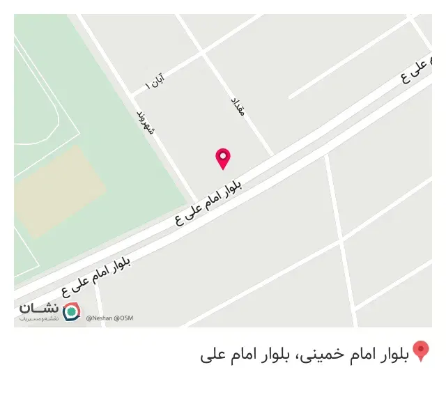 پیتزا ونیز