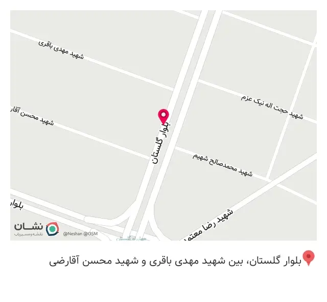فروشگاه اسنوا گلستان