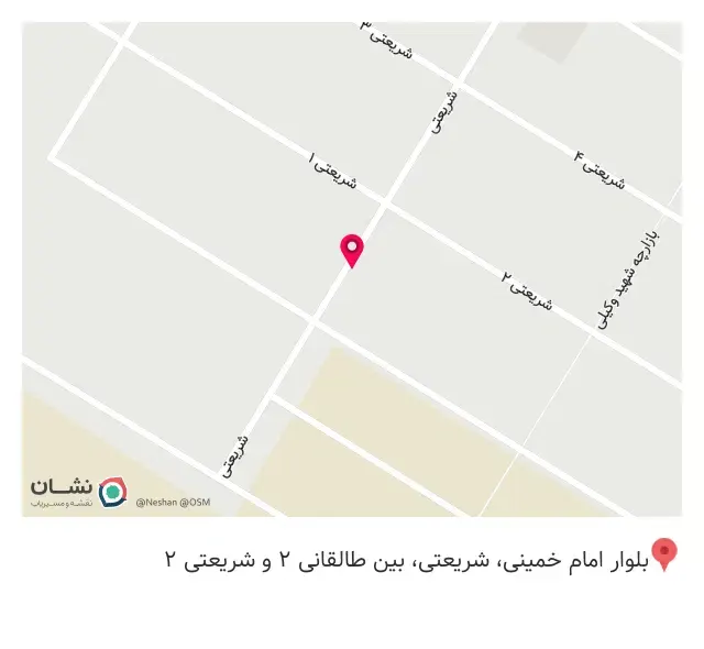 پیتزا دالیز ۲