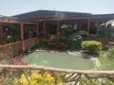 کافه گلخونه