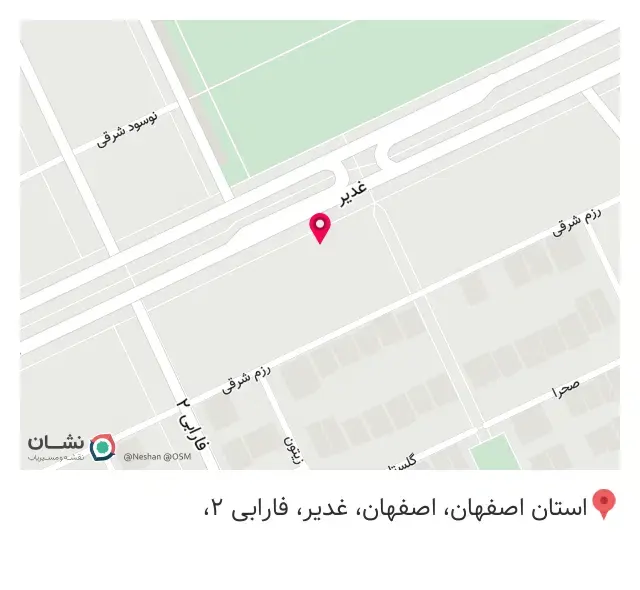 پیتزا نادری