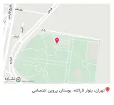 باشگاه کاراته استاد بیرانوند