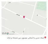 فستفود زیتون