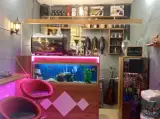 کافه درویش