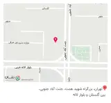 پوشاک پرند