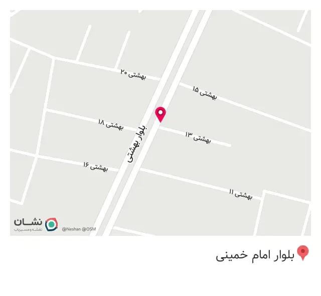 پیتزا دانشجو