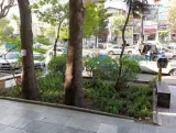 قهوه چی