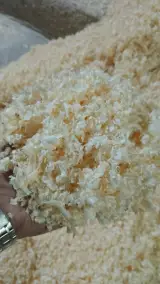 ملزومات حیوانات هایلند