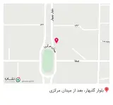 کلاپ مو پنجه طلایی