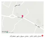 بیمه ایران، نمایندگی سعید هاشمی