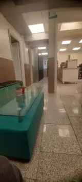 آزمایشگاه رهپویان دانش کولاک