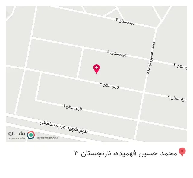 فست فود شاهان