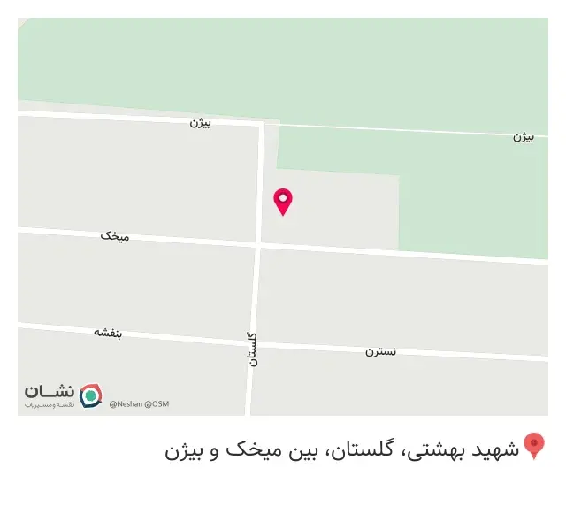 پیتزا در ب در