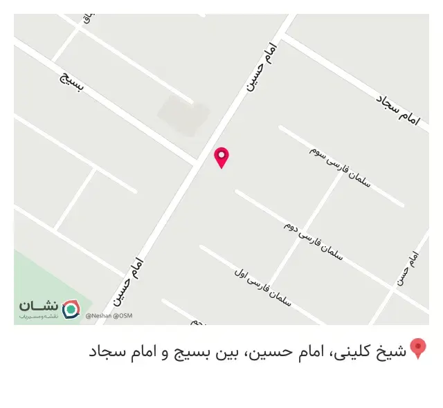 پیتزا شمشک
