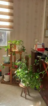 مطب دندانپزشکی دکتر دبستانی