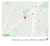 پیتزا برگر فرد