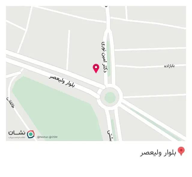 پیتزا و ساندویچ مانی