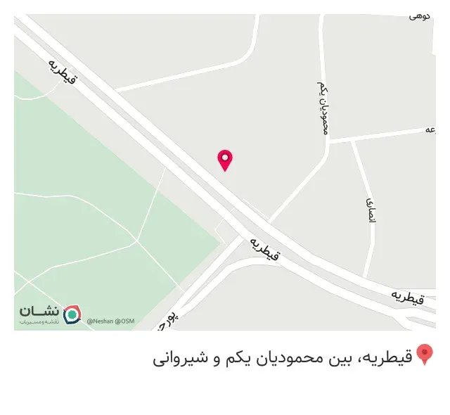 برگر زغالی