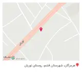 شاورما و پیتزایی طارق