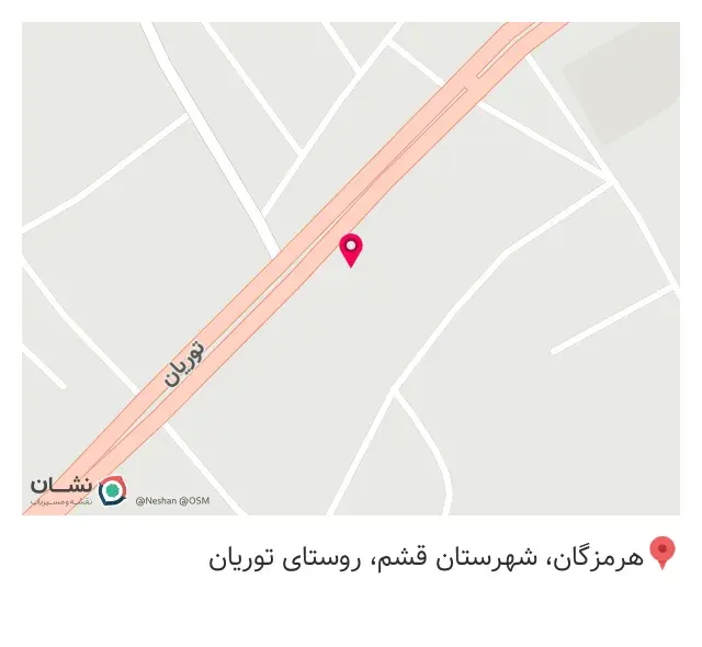شاورما و پیتزایی طارق