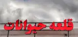 قلعه حیوانات رشت