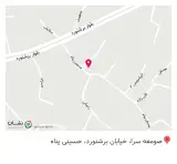 دکتر هدیه رونقی
