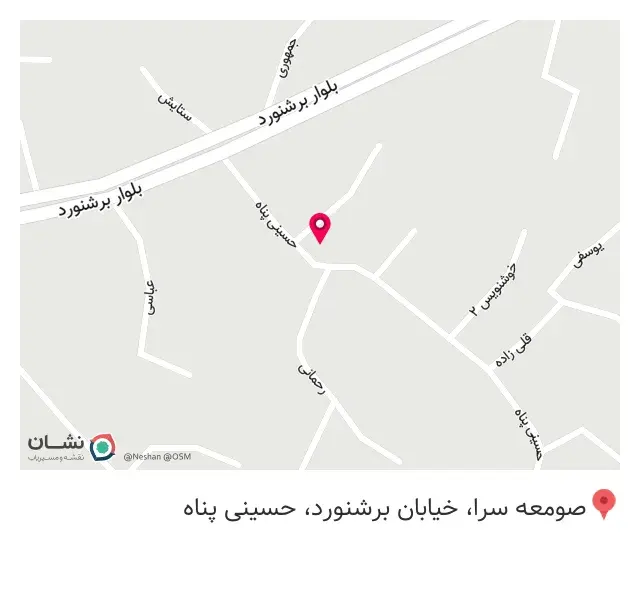 دکتر هدیه رونقی