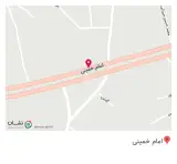 پیتزا زیتون