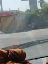 ساندویچی عباس