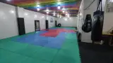 باشگاه رزمی رویش