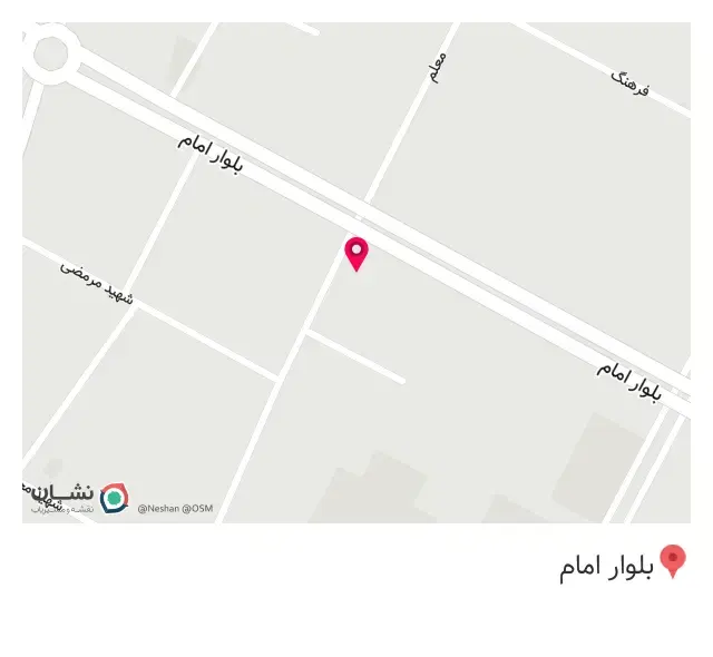 پیزا و ساندویچ نارین