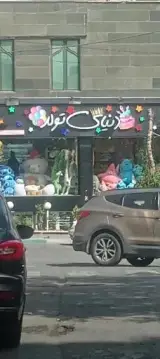دنیای تولد