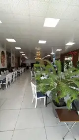 چلو جوجه معین