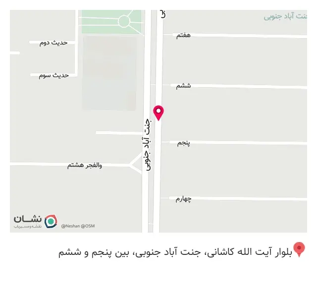 سکه امیر