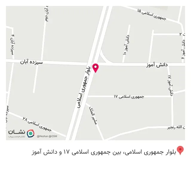 فست فود ۳۱۳