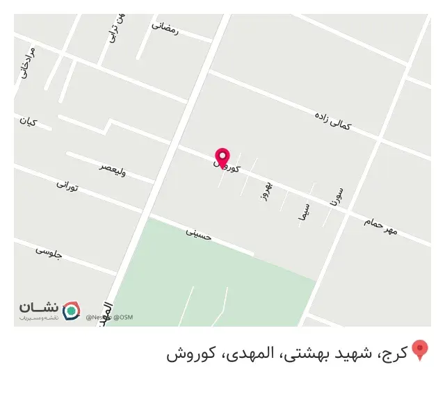 ساندویچی خاتون