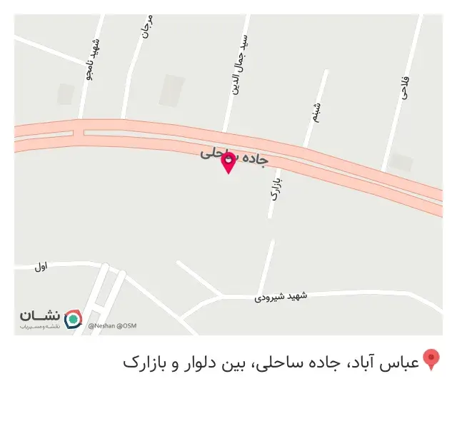 دکتر شقایق ربیعی