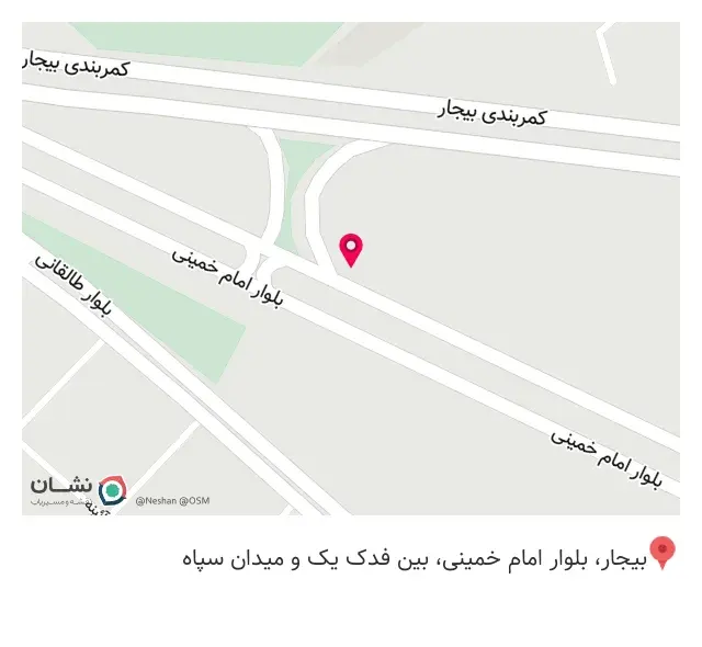 پیتزا بیست