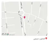 پیتزا و ساندیوچی لذیذ