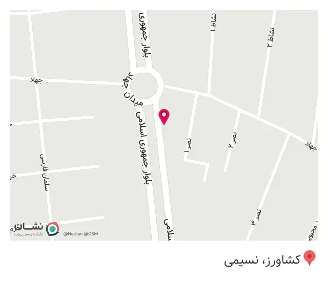 پیتزا و ساندیوچی لذیذ