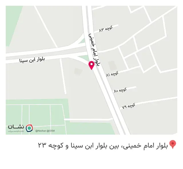 پیتزا تو