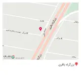 دکتر ژانت زرگری